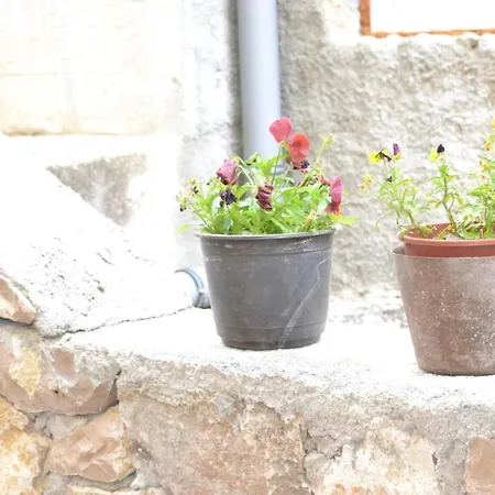 Apartamento With Parking Space Grebastica, Sibenik - 13365 Baselovici