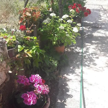 With Parking Space Grebastica, Sibenik - 13365 *