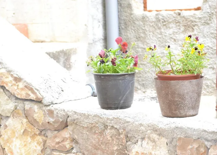 Daire With Parking Space Grebastica, Sibenik - 13365 Baselovici