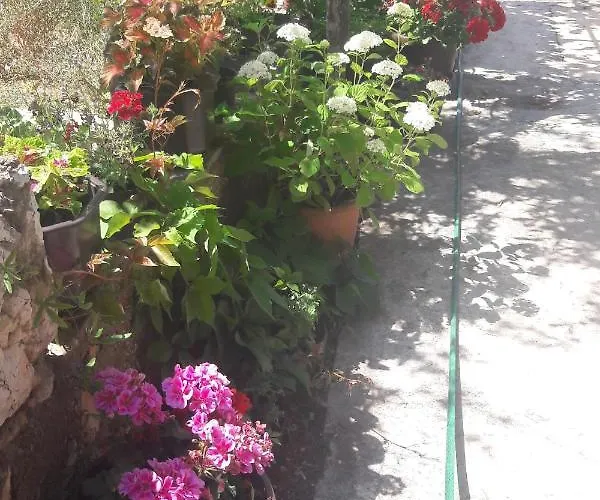 With Parking Space Grebastica, Sibenik - 13365 *